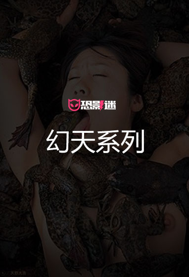 全球禁の幻天系列