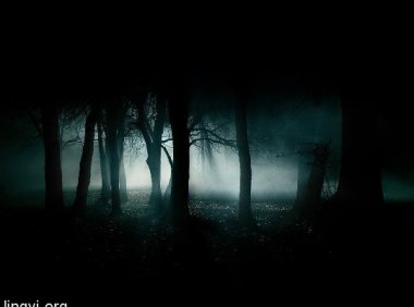 我亲身经历，请大神给解悟