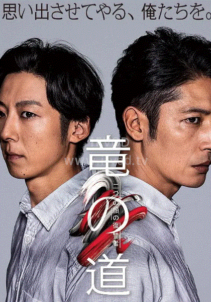 龙道双面复仇者