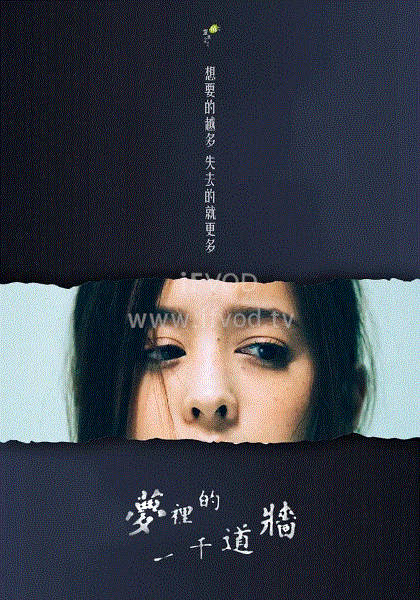 梦里的一千道墙