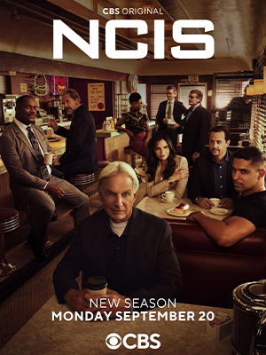 海军罪案调查处第19季