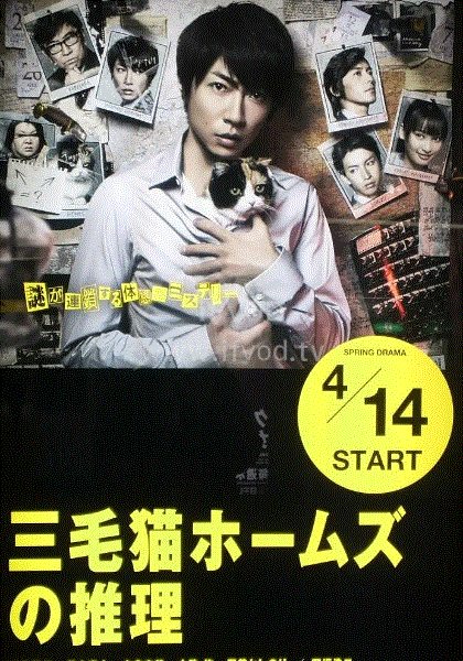 三花猫福尔摩斯的推理